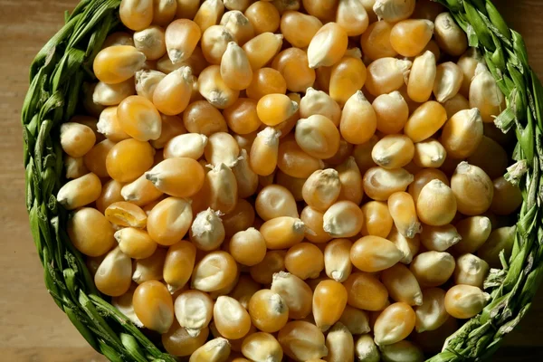 Dried macro corn seeds in orange color — Stock Photo, Image