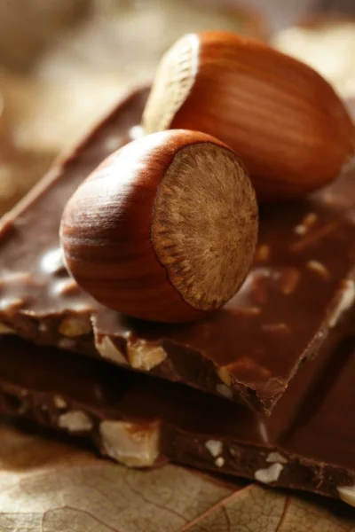 Avellanas y chocolate — Foto de Stock