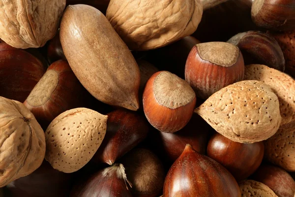 Nuts mix, walnuts, pecam hazelnut, almond, chestnut — Stock Photo, Image