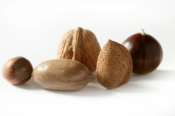 Mezcla de frutos secos, nueces, avellanas pecam, almendras, castañas —  Fotos de Stock