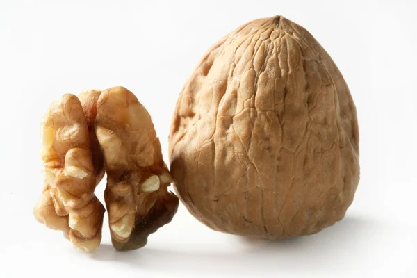 Ořech a shell makro přes bílý — Stock fotografie