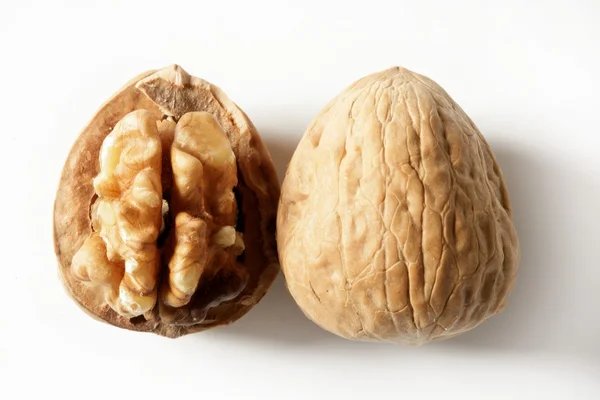 Walnut and shell macro over white — Stock Photo, Image