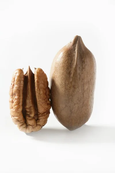 Pecan nut fruit and shell over white — Stock Photo, Image