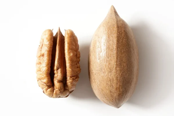 Pecan noten vruchten en shell over Wit — Stockfoto