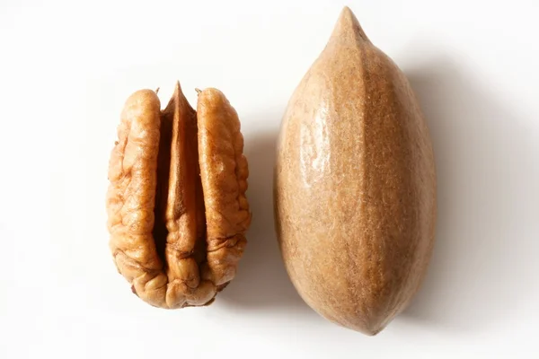 Pecan noten vruchten en shell over Wit — Stockfoto