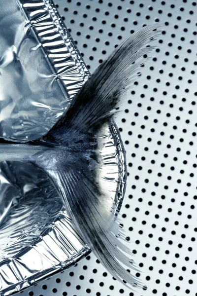 Mały tuńczyk, fałszywe albakora ogon detal — Zdjęcie stockowe