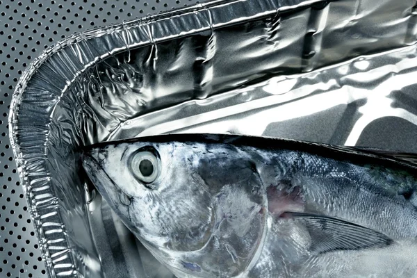 Little tunny, tuna, alby, albacore, silver color. — Stock Photo, Image