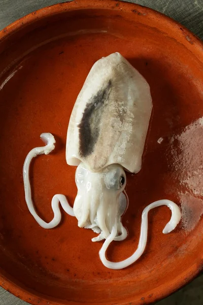 Cuttlefish não cozido, marisco mediterrânico de lulas — Fotografia de Stock