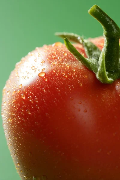 녹색 배경 위에 붉은 토마토 매크로 — 스톡 사진
