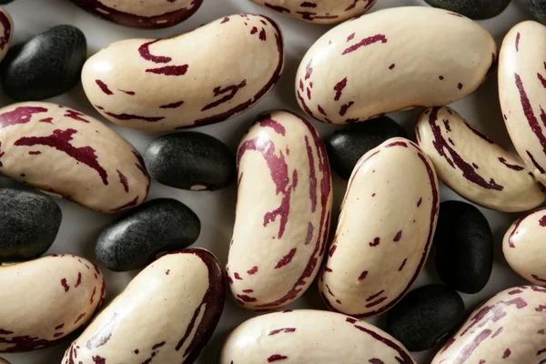 Beans macro at studio white background — Stock Photo, Image