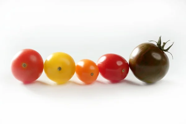 Pequena cereja variada multi tomates coloridos — Fotografia de Stock