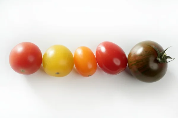 Malé cherry pestrá multi barva rajčat — Stock fotografie