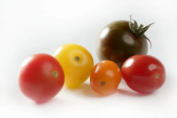Little cherry varied multi color tomatoes — Stock Photo, Image