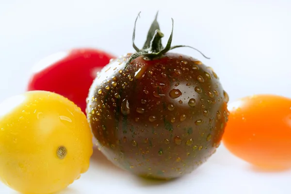 Little cherry varierade multi color tomater — Stockfoto