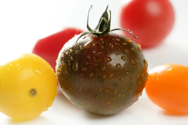 Kleine Kirsche variiert mehrfarbige Tomaten — Stockfoto