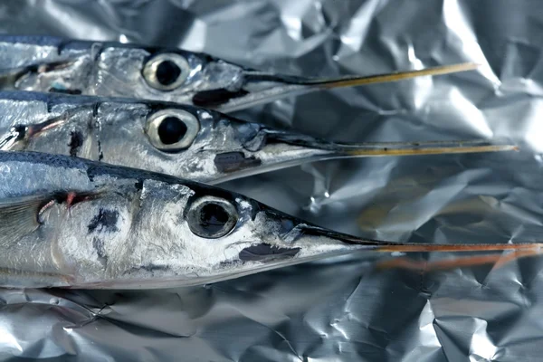 Üç iğne balık, pişmemiş makro studio vurdu — Stok fotoğraf