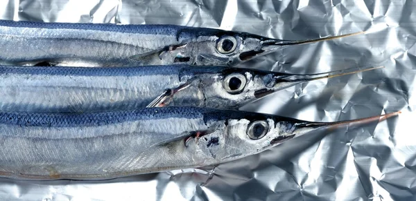 Tre nål fisk, okokt makro studio skott — Stockfoto