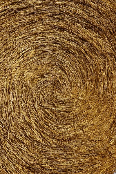 Giallo paglierino rotoballa, macro texture sfondo — Foto Stock