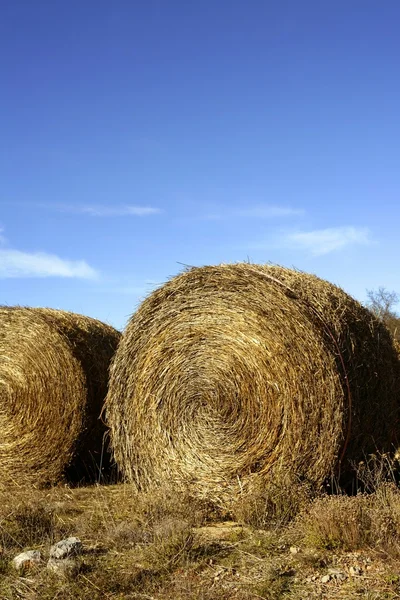 Yellow straw round bale outdoor, blue sky — Stock Photo, Image
