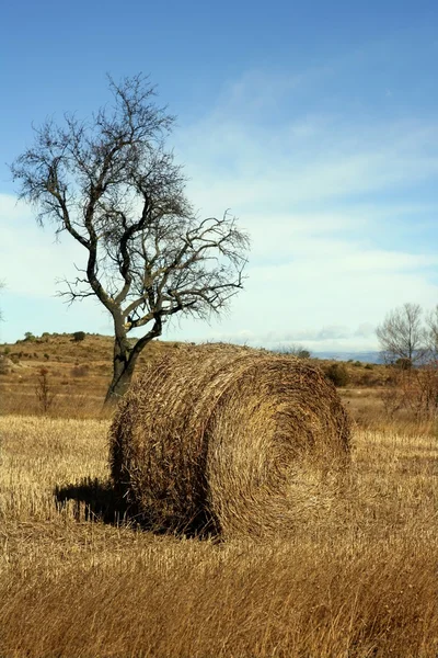 Yellow straw round bale in the fields, Spain — Stock Photo, Image