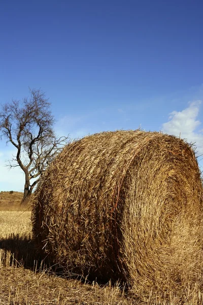 Gele ronde baal stro in de velden, Spanje — Stockfoto