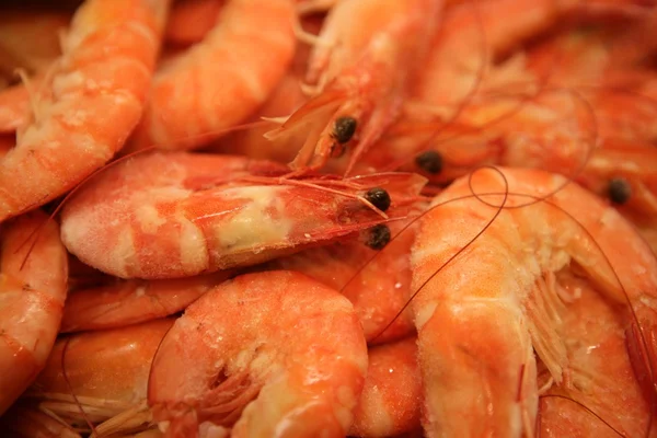 Texture macro crevettes, nombreuses crevettes orange — Photo