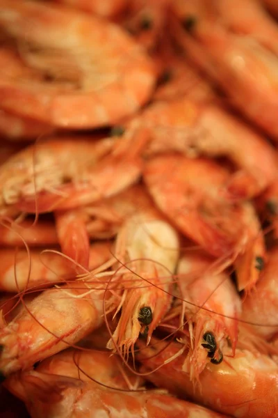 Shrimp Makro Textur, viele orangefarbene Garnelen — Stockfoto
