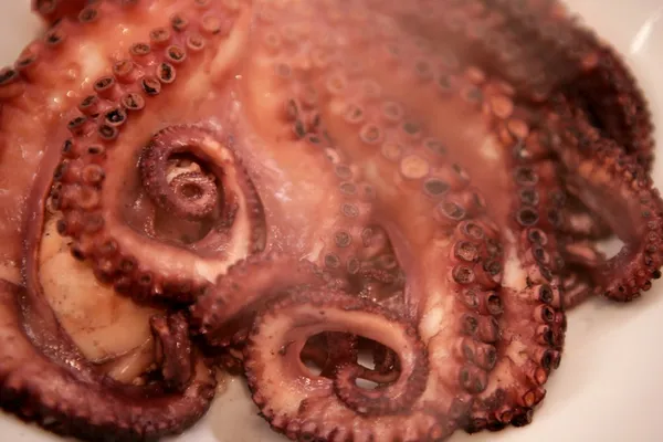 Steam coming from recent cooked octopus — Stock Photo, Image
