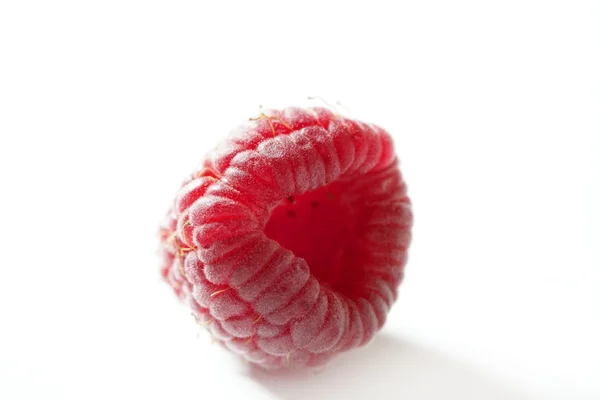 One red macro raspberry over white background — Stock Photo, Image