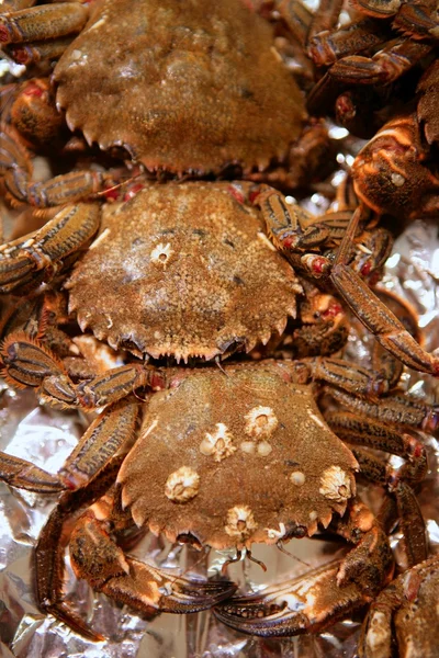 Krabbe aus dem Mittelmeer, Strukturmuster — Stockfoto