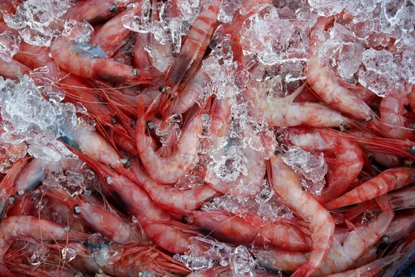 Crevettes orange, crevettes, crustacés sur la surface de glace — Photo