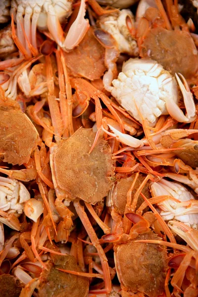 Crab from Mediterranean, texture pattern — Stock Photo, Image