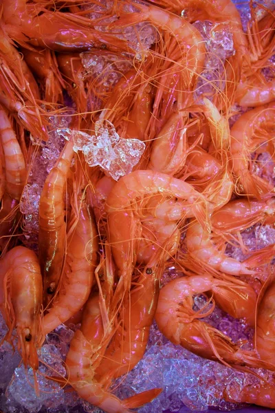 Orangefarbene Garnelen, Garnelen, Krebstiere über Eisfläche — Stockfoto