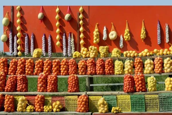 Arancia, zucca, limone, aglio, Spagna mercato della frutta — Foto Stock
