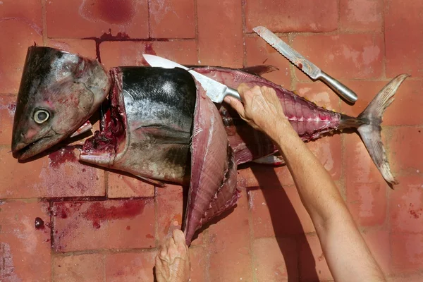 Bloody Mediterranean tuna fish preparation — Stock Photo, Image
