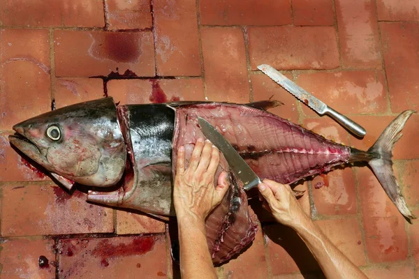 Blodiga Medelhavet tonfisk förberedelse — Stockfoto