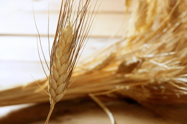 Cereales de trigo dorado, naturaleza muerta —  Fotos de Stock