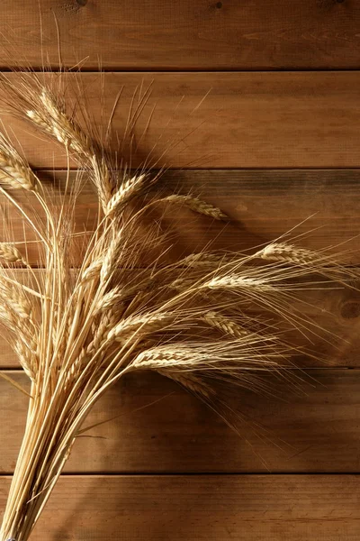 Klas pšenice golden spike dřevěné pozadí — Stock fotografie