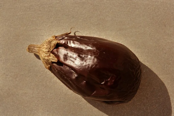 灰色背景上孤立的茄子板烧套餐 — 图库照片