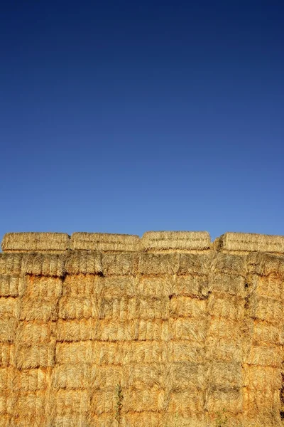 Granen schuur met vierkante vorm stack op kolommen — Stockfoto