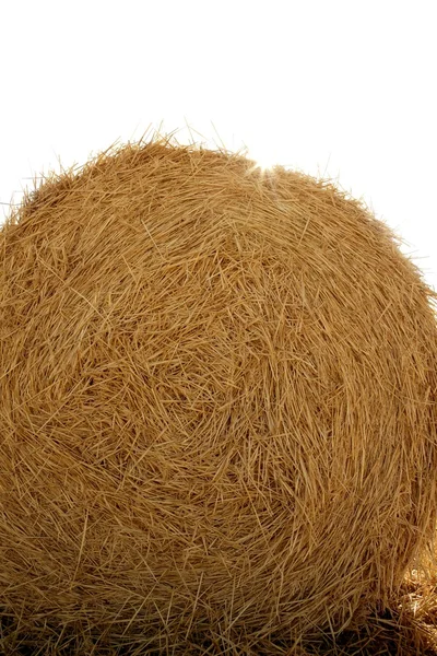 Heno bala redonda de cereal de trigo seco —  Fotos de Stock