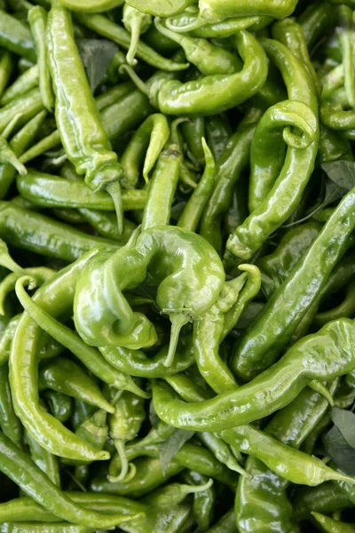 Texture di pepe verde sul mercato — Foto Stock
