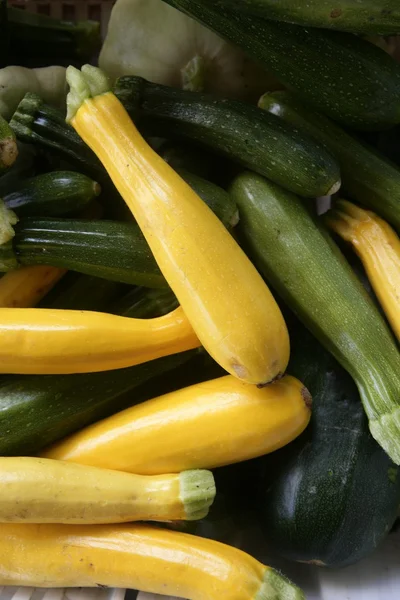 Green and yellow courgette in the marketplace — Stock Photo, Image