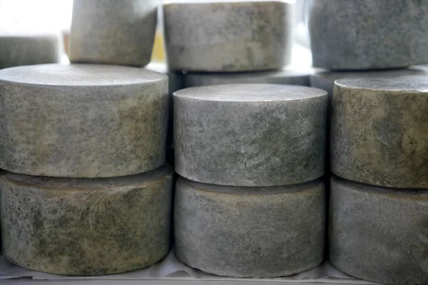 Halmozott éves francia sajt kerekek — Stock Fotó