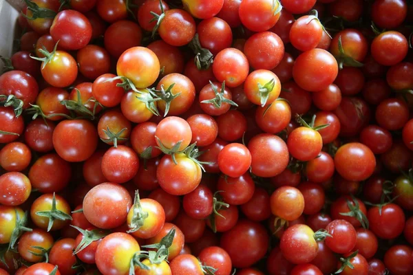Padrão de textura abstrato de tomates cereja vermelhos — Fotografia de Stock