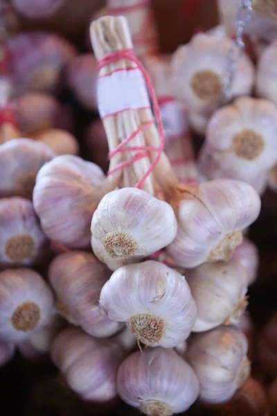 Bunch of garlic vegetables in the marketplace — Stock Photo, Image