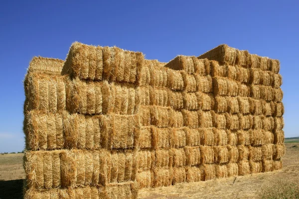 Cereal barn with square shape stack on columns — Stock Photo, Image
