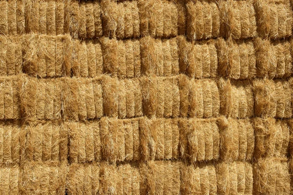 Stodoła zbóż z kwadratowy kształt stosu na kolumny — Zdjęcie stockowe