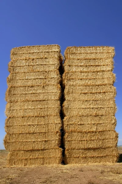 Stodoła zbóż z kwadratowy kształt stosu na kolumny — Zdjęcie stockowe