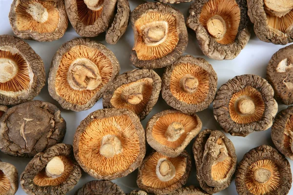 Dired shiitake mantar Vejetaryen yiyecekler — Stok fotoğraf
